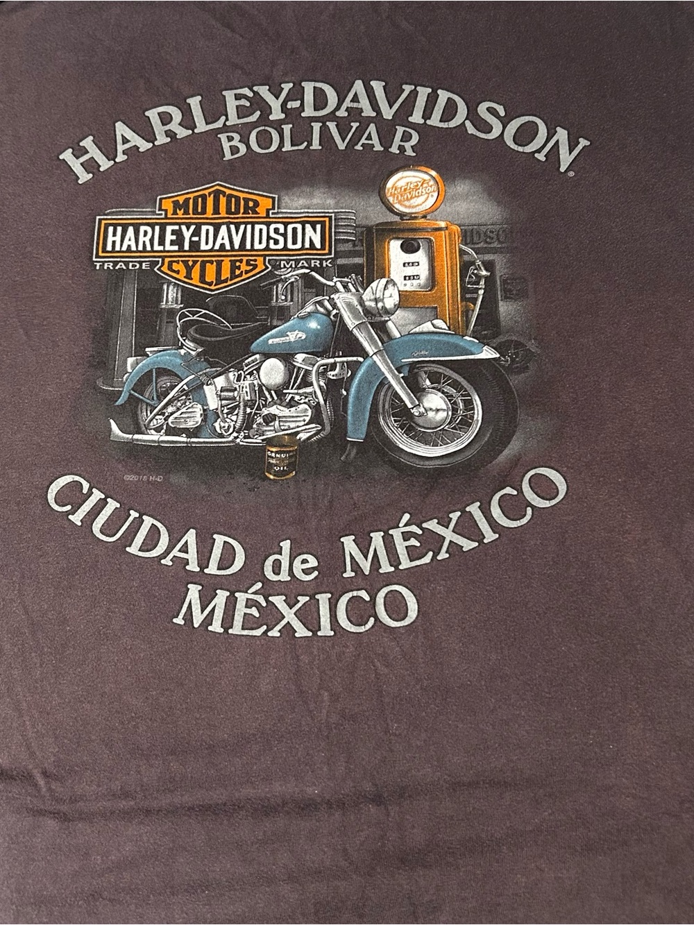 Harley Davidson T Shirt